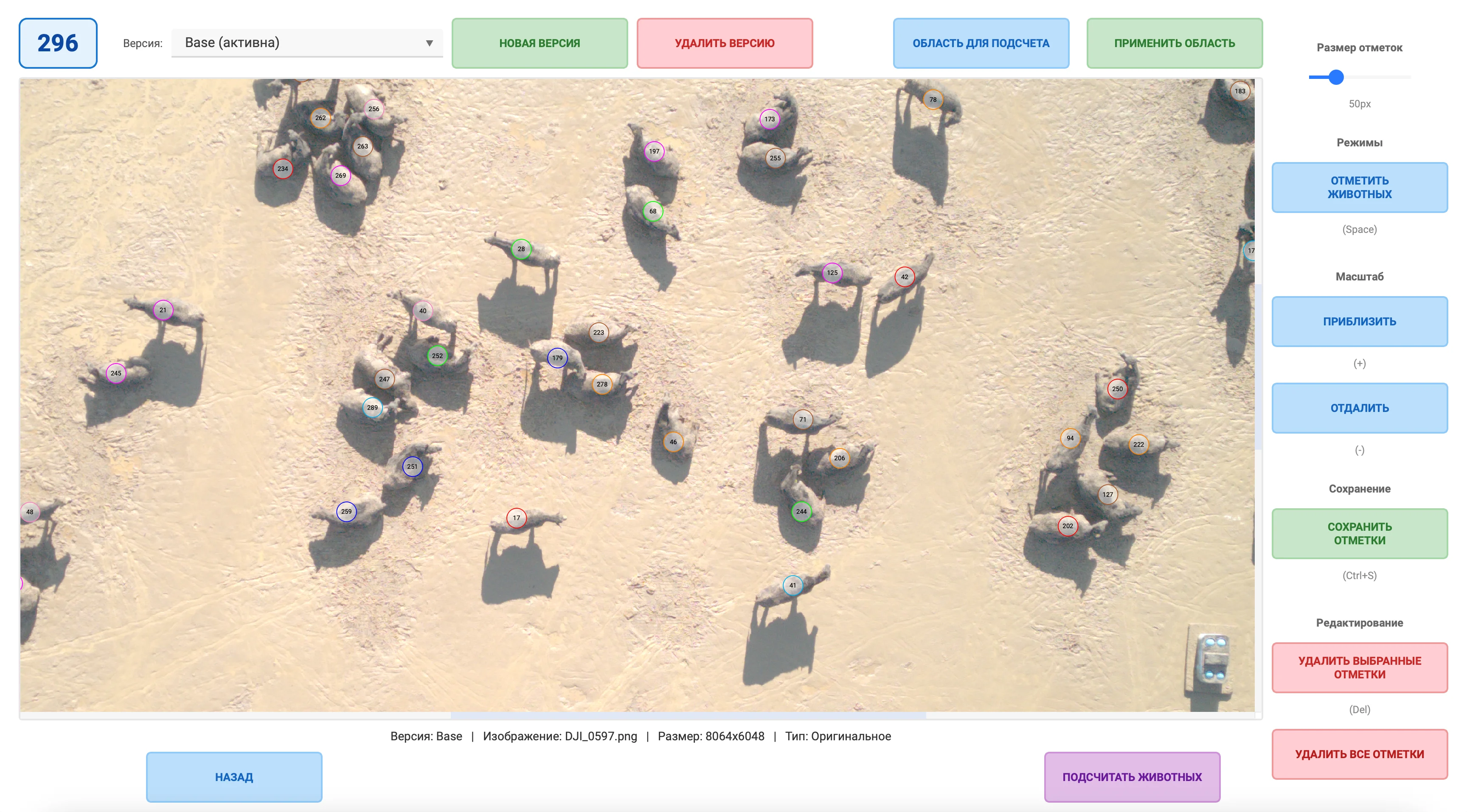 Livestock counting from aerial imagery